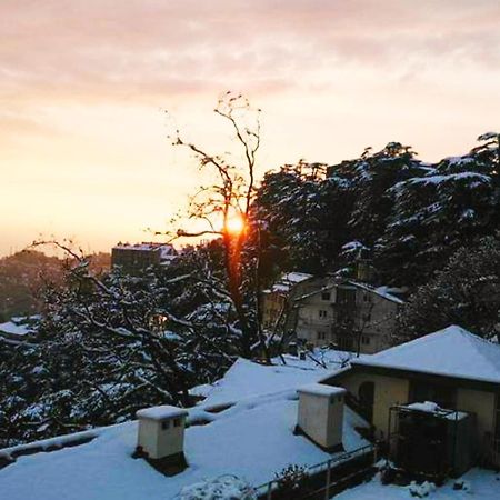 The Thistle Lodge Shimla Exterior photo