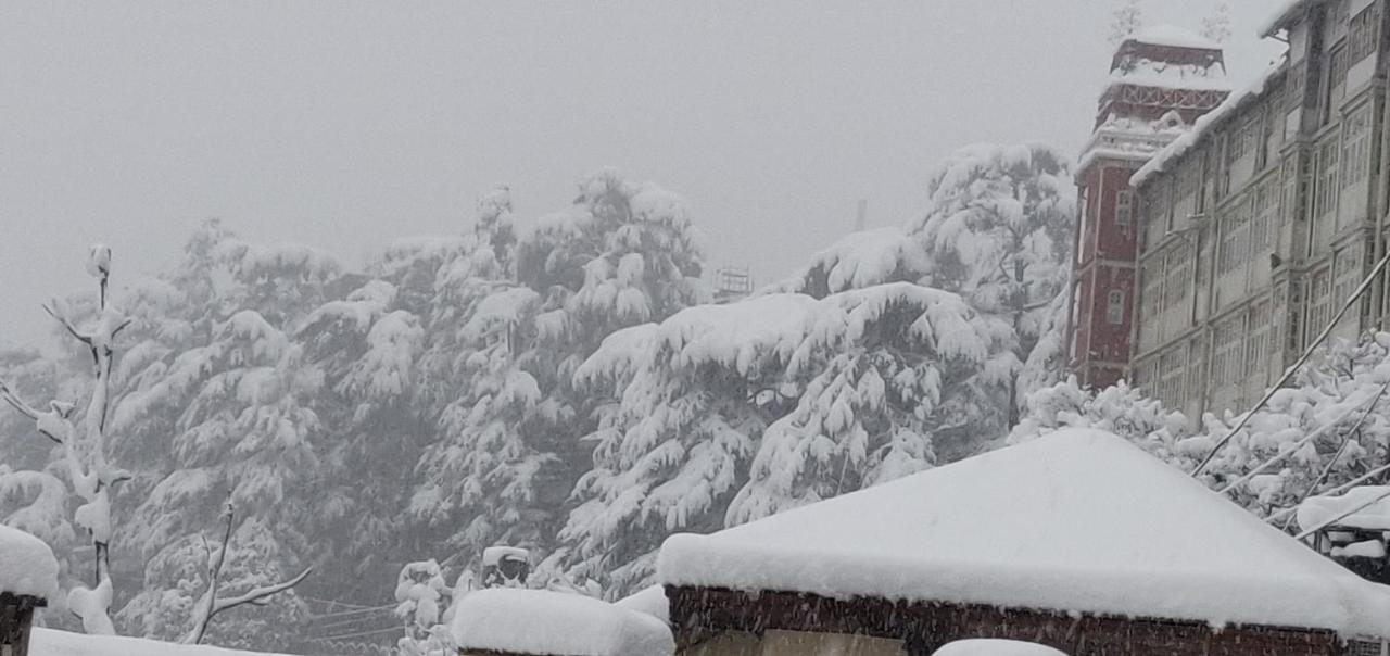 The Thistle Lodge Shimla Exterior photo