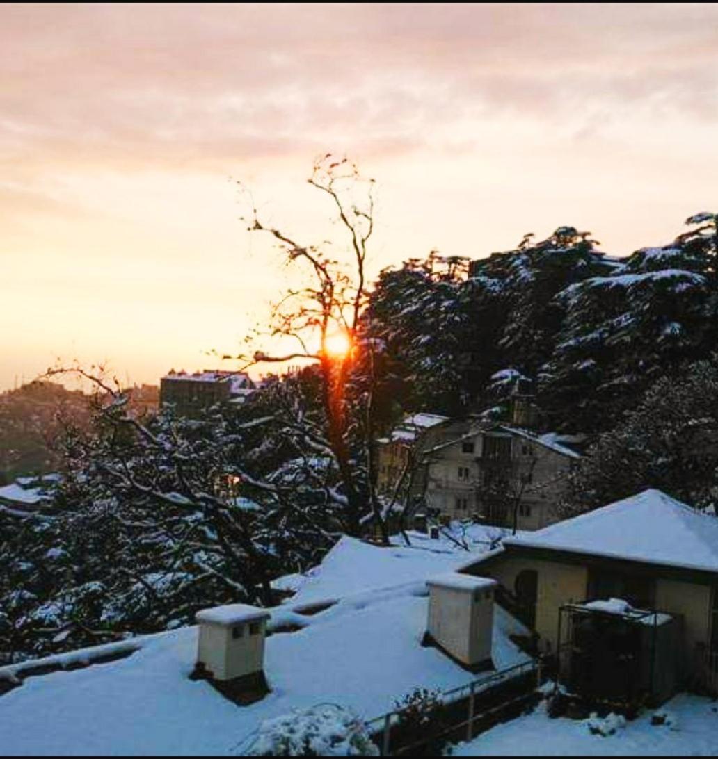 The Thistle Lodge Shimla Exterior photo